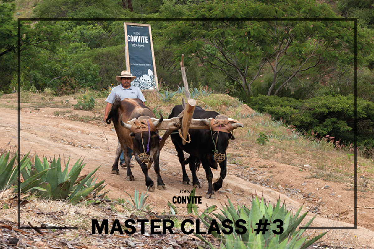 Master Class #3